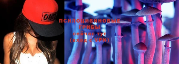 молекула духа Арсеньев